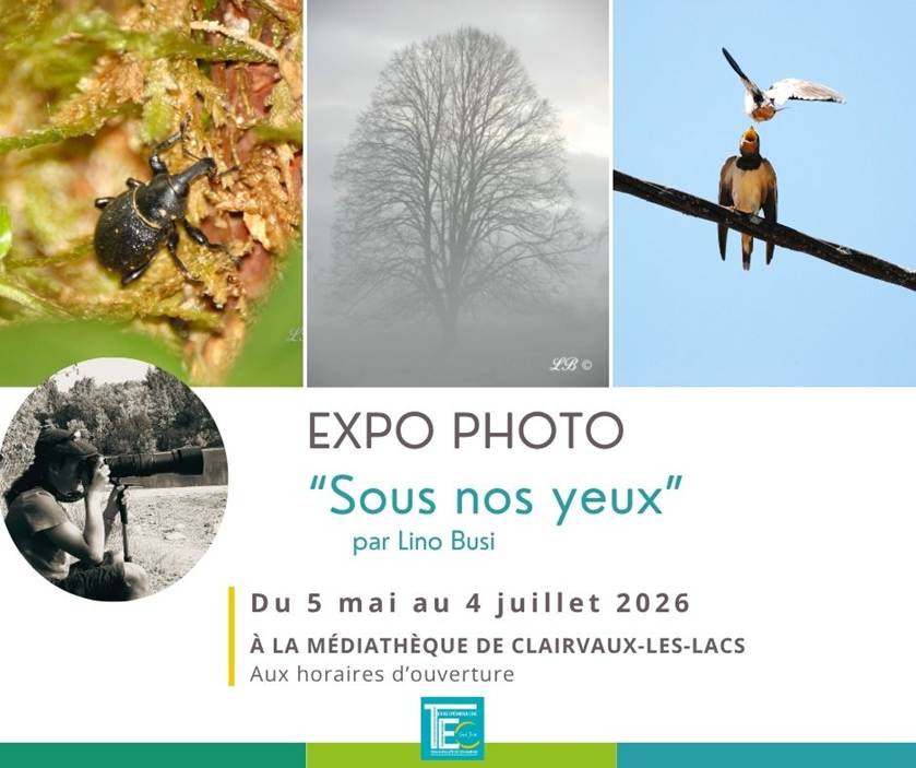 expo photo