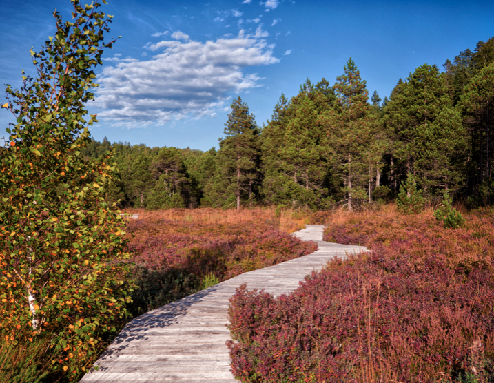Tourbières de Nanchez